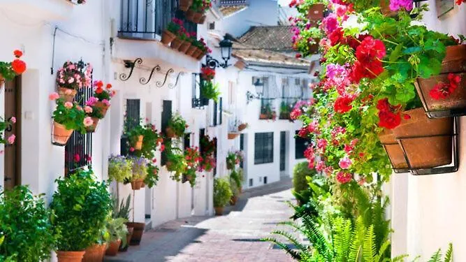Vista Paradiso I بينالماذينا شقة